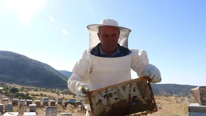 25 Yıl Sonra Mobilya Yerine Kendi Tarımını Yetiştiren Adamın Başarı Hikayesi