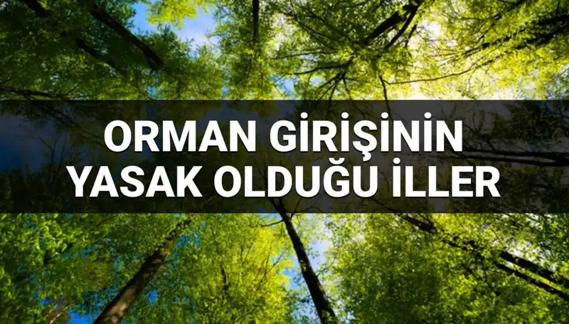 2025'te Ormana Giriş Yasağı Getirilen İller Hakkında Bilmeniz Gerekenler
