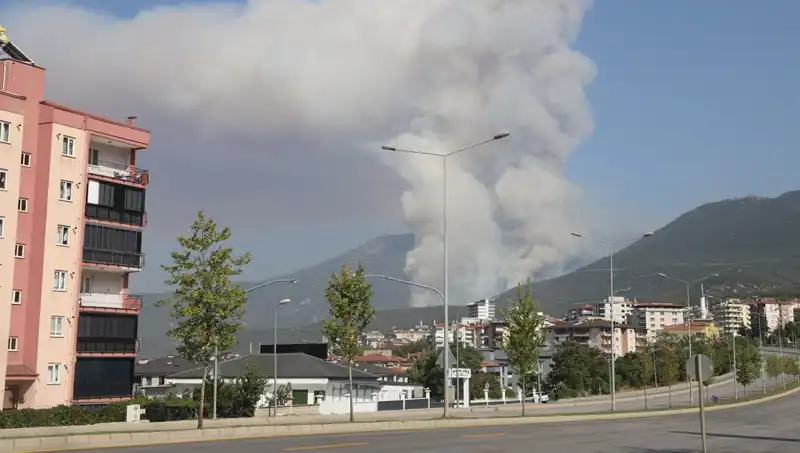 Denizli Orman Yangını: Şüpheli Gözaltına Alındı, Devlet Harekte