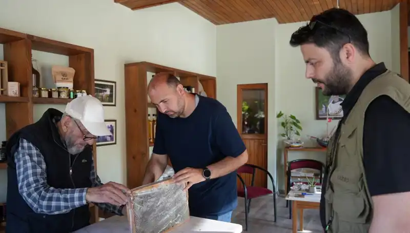 Hem Şifa Hem de Zehir: 1 Çay Kaşığı Sınırı Neden Önemli?