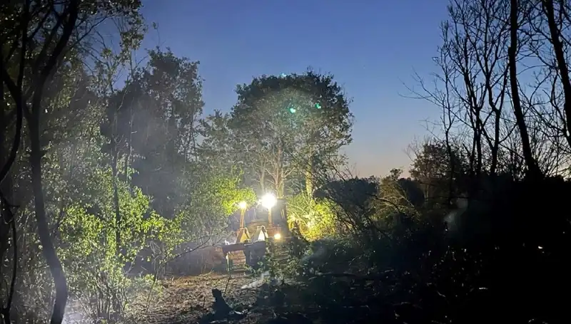 Edirne’deki Orman Yangını Kontrol Altına Alındı: İşte Tüm Detaylar